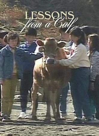 Lessons from a Calf (1991)