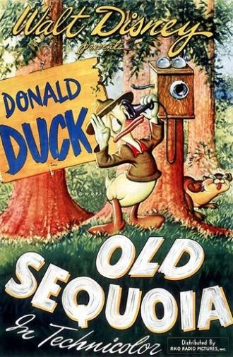 Old Sequoia (1945)