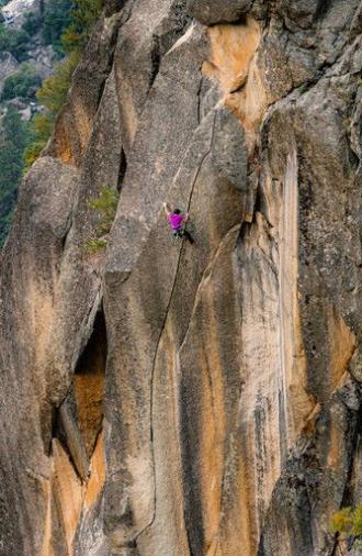 The Traditionalist - Chapter One (2024)