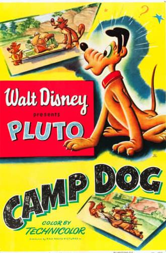 Camp Dog (1950)