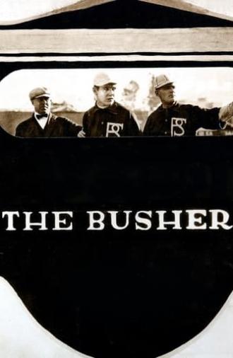 The Busher (1919)