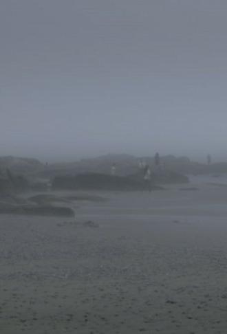 The Fog Has Covered The Moment Again (2021)
