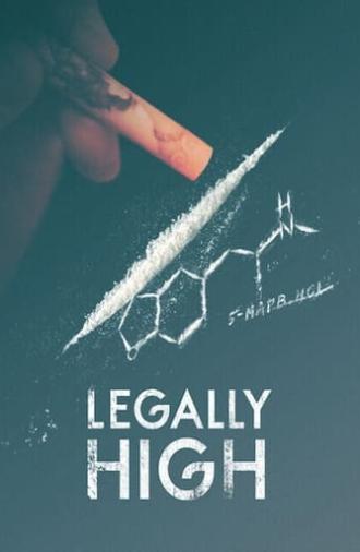 Legally High (2013)