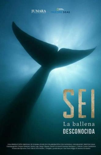 Sei La Ballena Desconocida (2025)