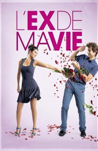 Divorce French Style (2014)