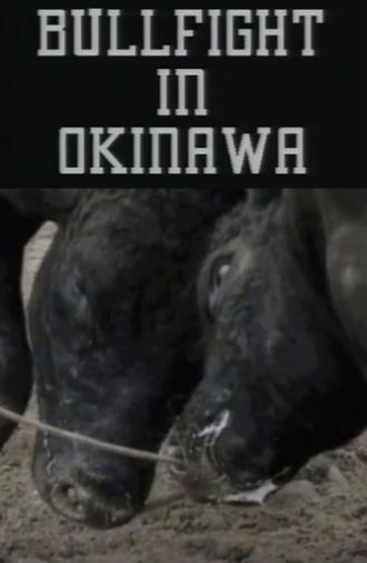 Bullfight in Okinawa (1994)