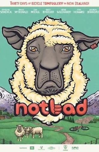 Not Bad (2013)