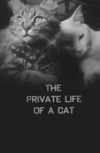 The Private Life of a Cat (1946)