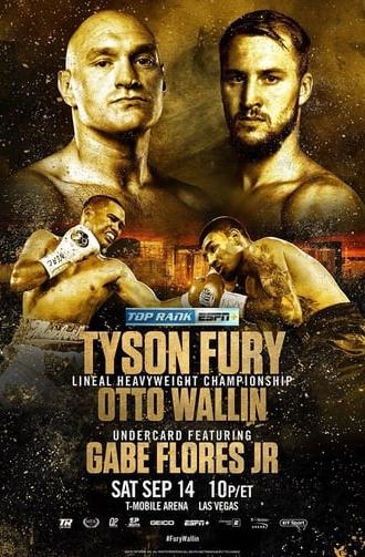 Tyson Fury vs. Otto Wallin (2019)