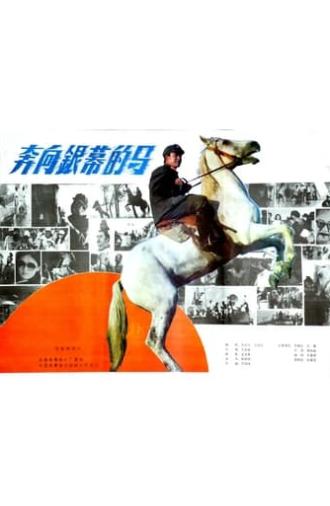 A Horse Galloping Toward Screen (1984)