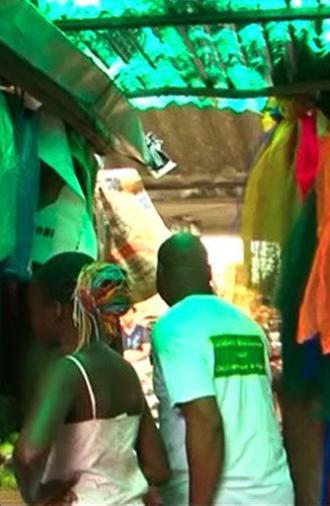 NGO (Beninese Solidarity with Endangered Westerners) (2013)