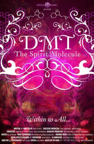 DMT: The Spirit Molecule (2010)