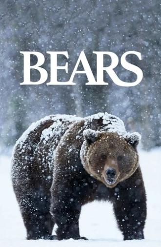 Bears (2004)