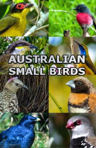 Australian Small Birds (2021)