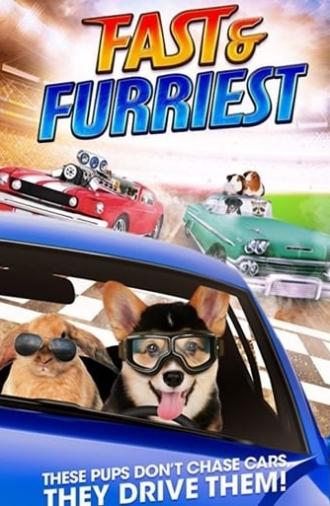 Fast and Furriest (2017)