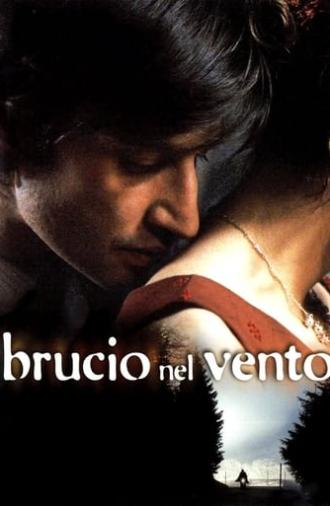 Brucio nel vento (2002)