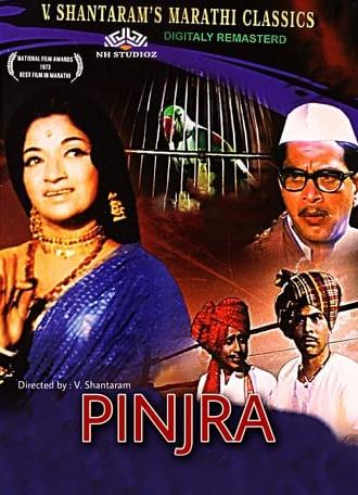 Pinjra (1972)