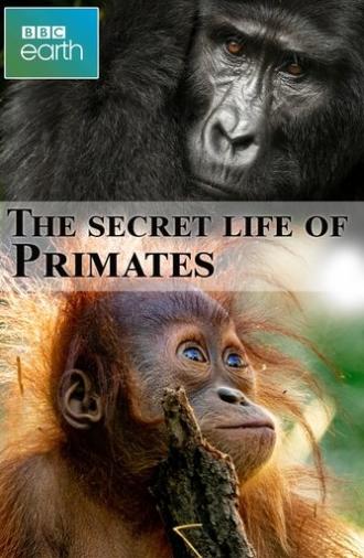 The secret life of Primates (2009)