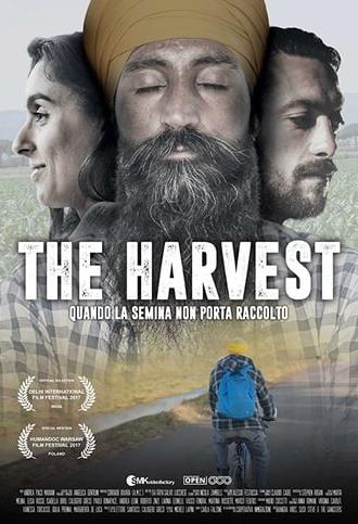 The Harvest (2017)