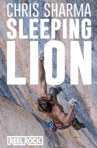 Sleeping Lion (2023)