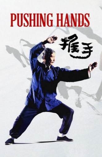 Pushing Hands (1991)