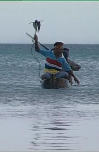 Tuo Dolphins (2000)