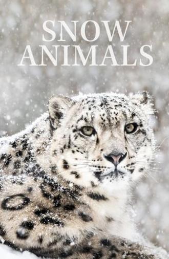 Snow Animals (2019)