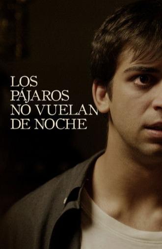 Birds Don’t Fly at Night (2020)