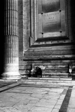 Venus in Furs (1994)