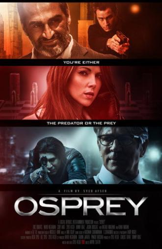 Osprey (2017)
