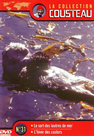 The Cousteau Collection N°31-1 | The Fate of Sea Otters (1971)