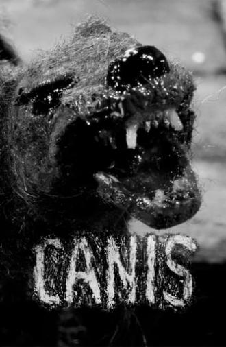 Canis (2013)