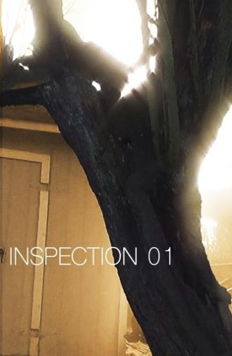 Inspection 01 (2025)