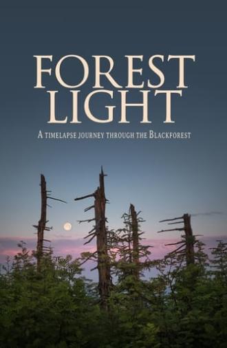 Forest Light (2021)