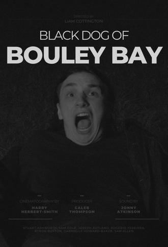 Black Dog of Bouley Bay (2022)