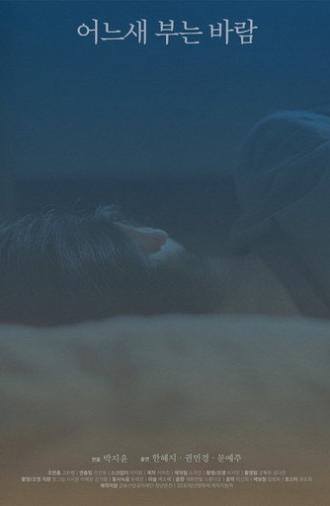 The Consolation of the Wind (2025)