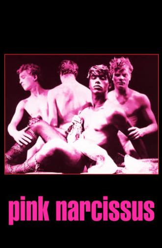 Pink Narcissus (1971)