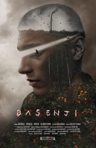 Basenji (2023)