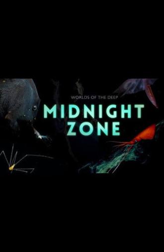 Into the Midnight Zone (2024)
