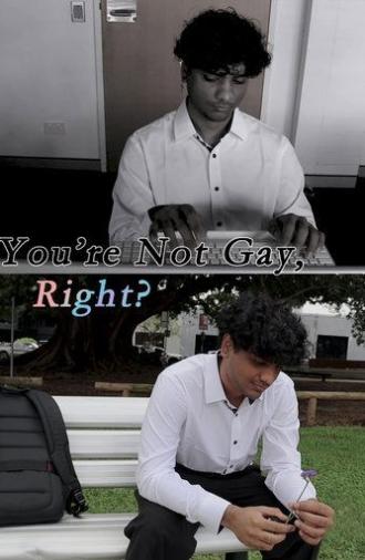 You're Not Gay, Right? (2024)