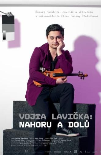 Vojta Lavička: Nahoru a dolů (2013)