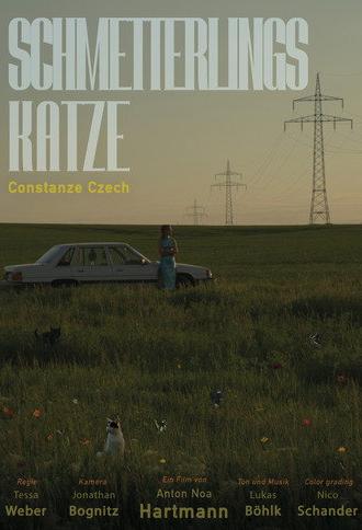 Schmetterlingskatze (2026)