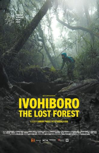 Ivohiboro, The Lost Forest (2024)