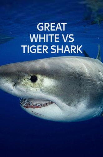 Great White vs Tiger Shark (2022)