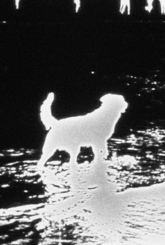 Waterfall (1968)