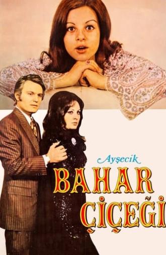 Ayşecik: Bahar Çiçeği (1971)