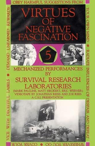 Virtues Of Negative Fascination (1986)