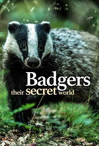 Badgers: Their Secret World (2025)