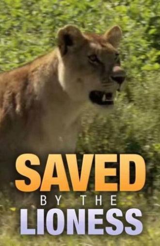 Saved by the Lioness (2009)