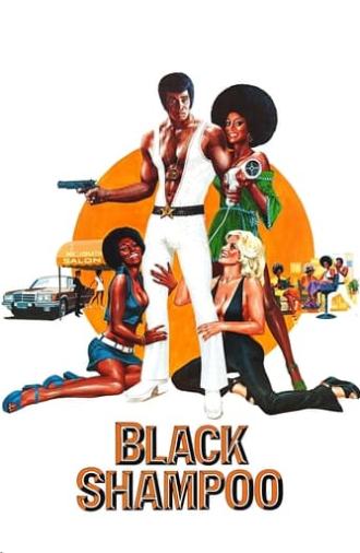 Black Shampoo (1976)